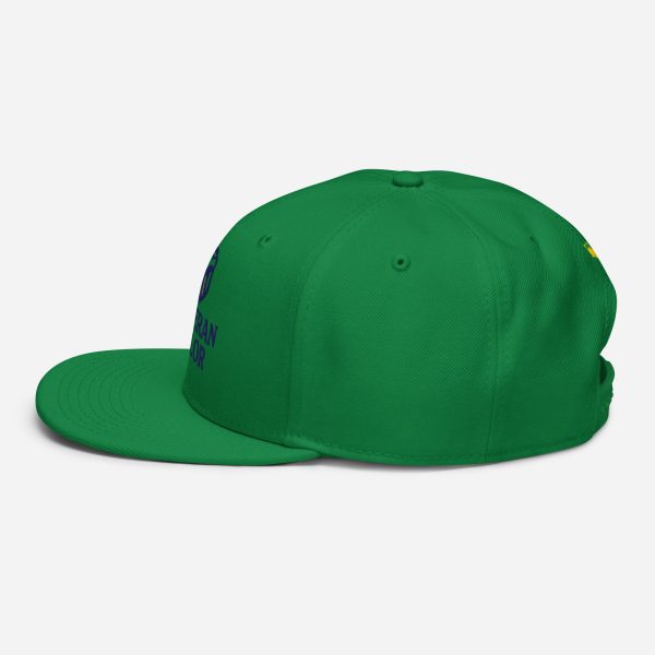Veteran Valor Official Brand Snapback - Image 4