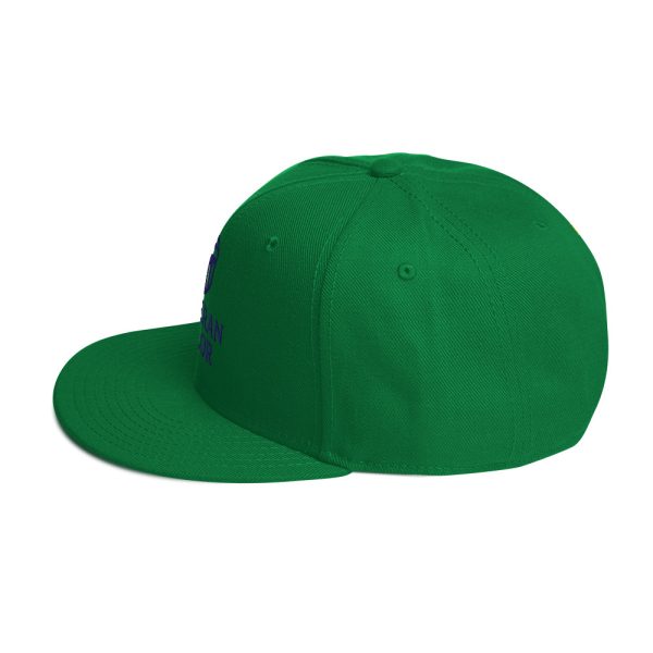 Veteran Valor Official Brand Snapback - Image 16