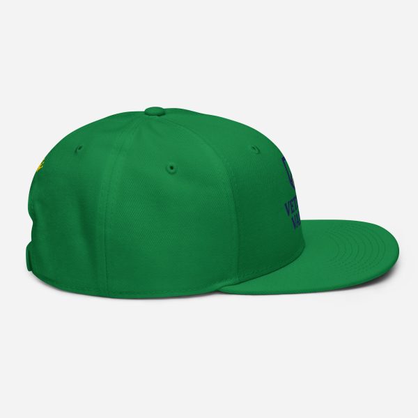 Veteran Valor Official Brand Snapback - Image 2