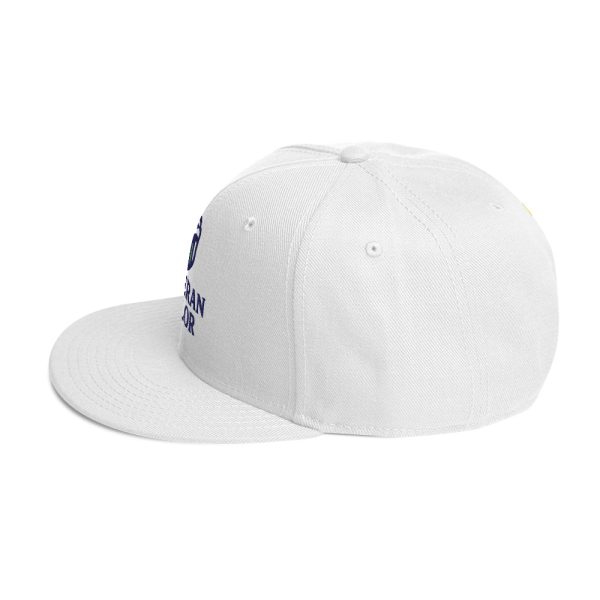 Veteran Valor Official Brand Snapback - Image 20